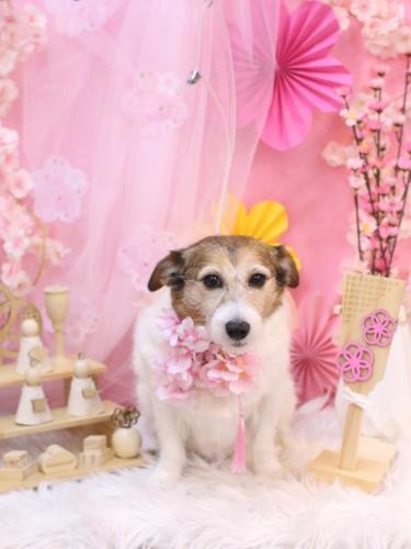 20250305こはるちゃん